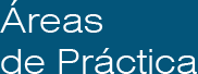 Áreas de Práctica
